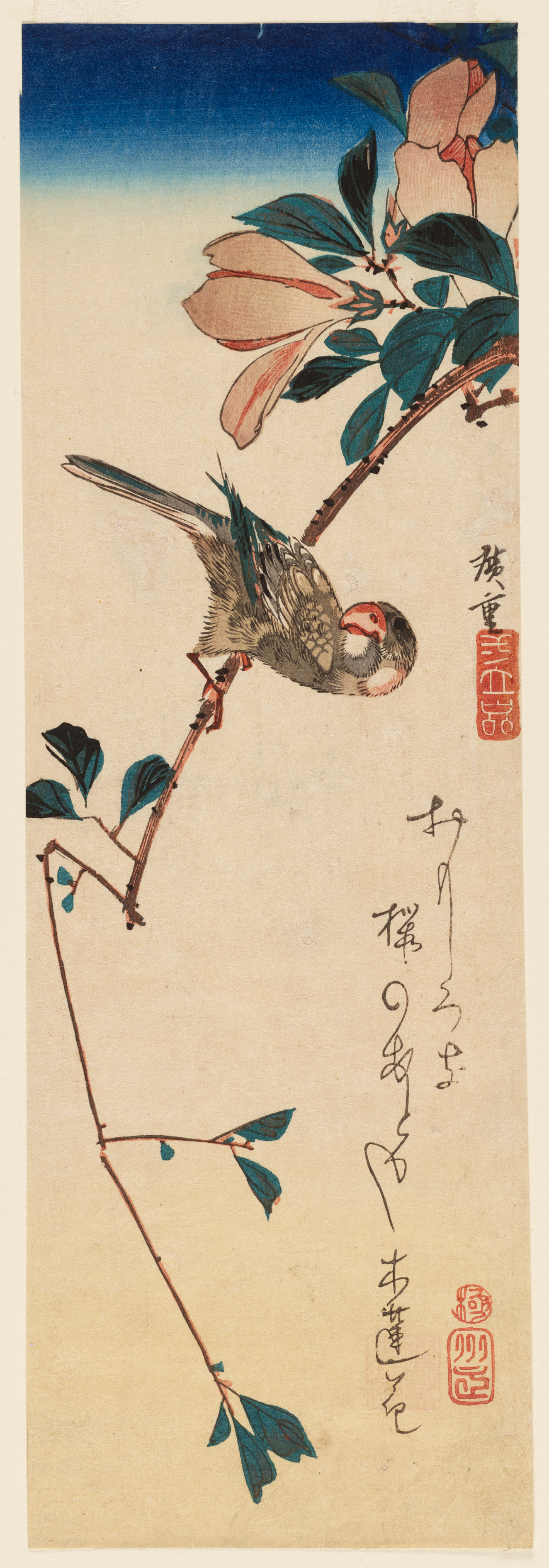 In a tall vertical frame a small brown bird looks upward at a fading blue sky from a thin brown branch with pale blossoms and dark green leaves.