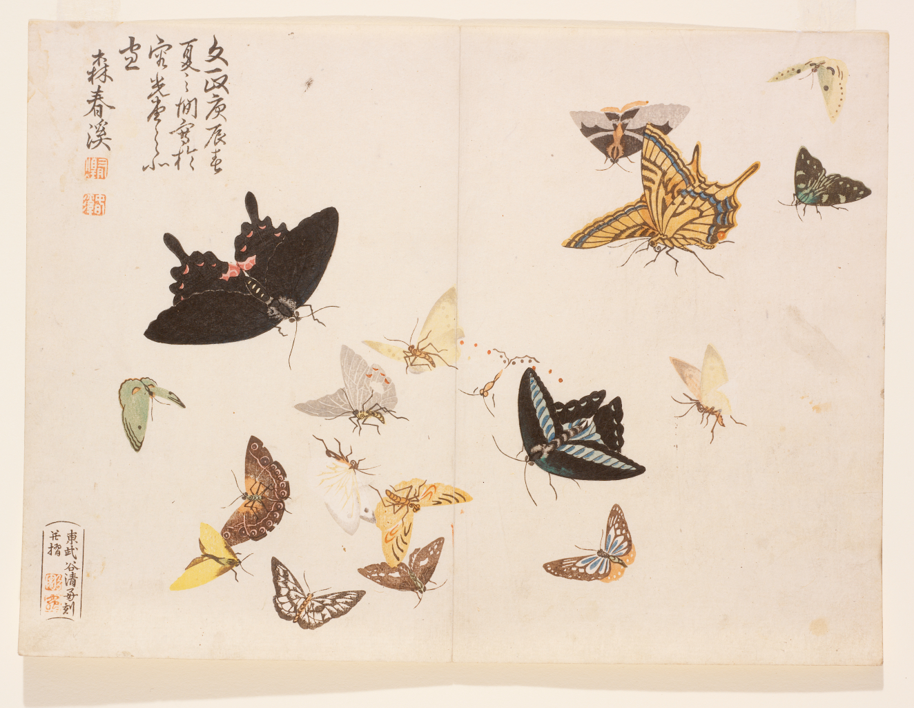 A variety of colorful butterflies in flight, with different sizes and patterns, alongside vertical script in the top left corner.