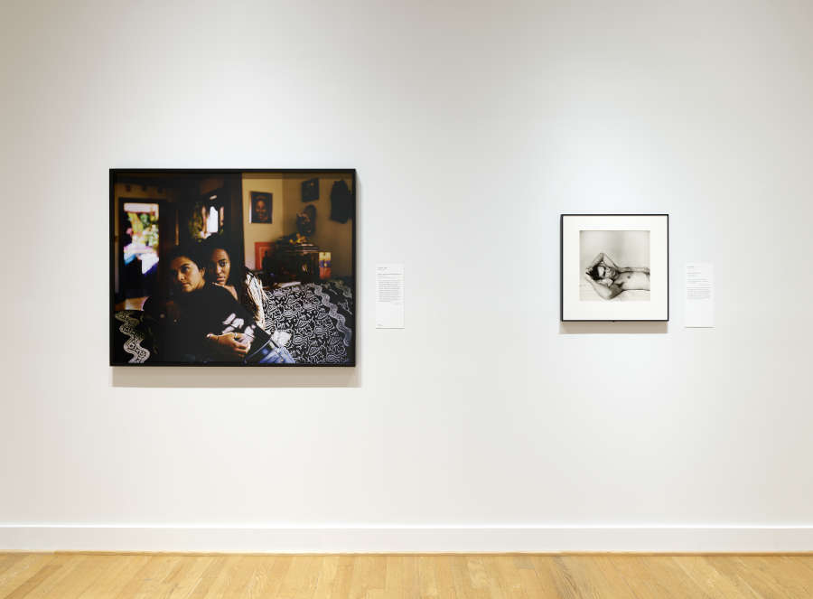 view exhibition image