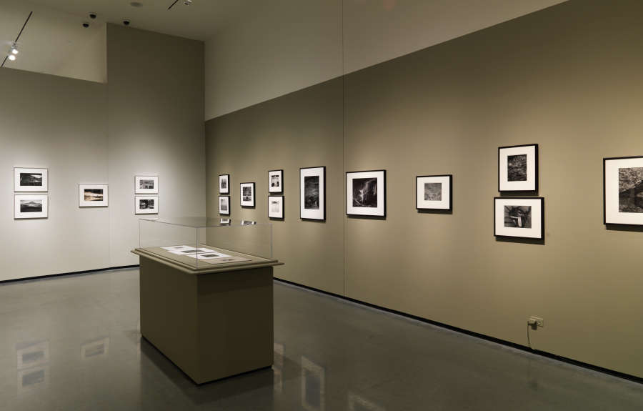 view exhibition image
