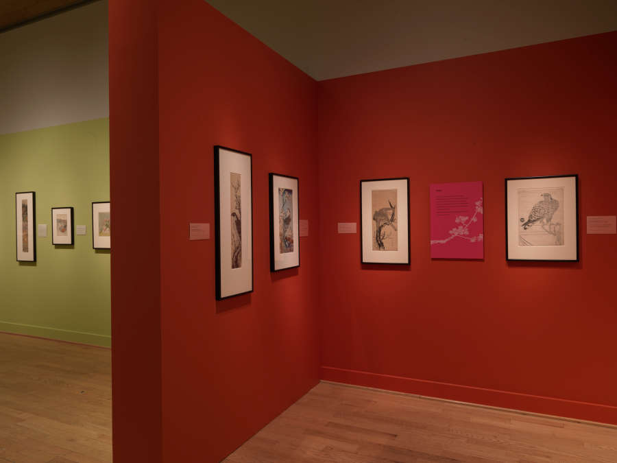 view exhibition image