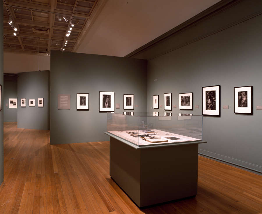 view exhibition image