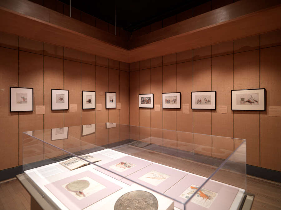 view exhibition image