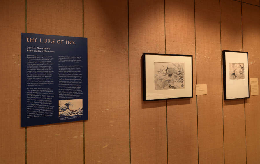 view exhibition image