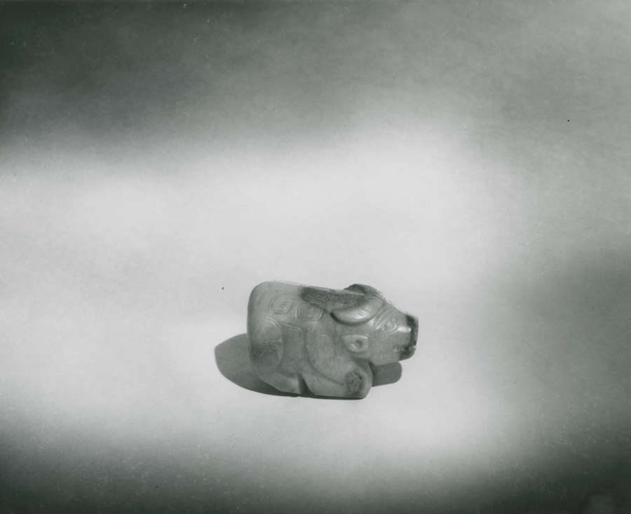 view exhibition image