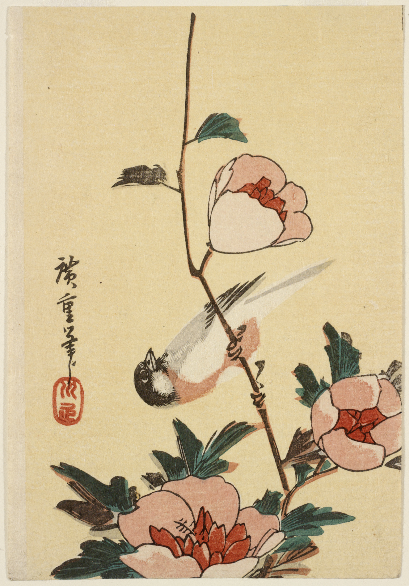 A delicate white bird with a black cap clings horizontally to a vertical flower branch with pink blossoms and deep green leaves. To the left is a red artists stamp.