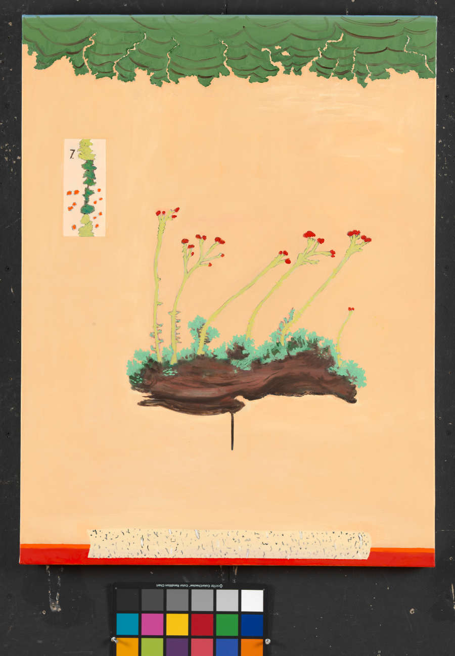 Print of a clump of earth, seen from the side. Stems with red buds extend from the dirt. The top of the beige paper is green and the bottom red. 