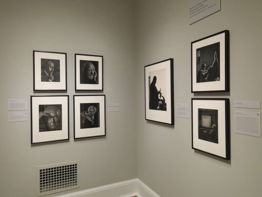 view exhibition image