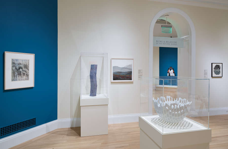 view exhibition image