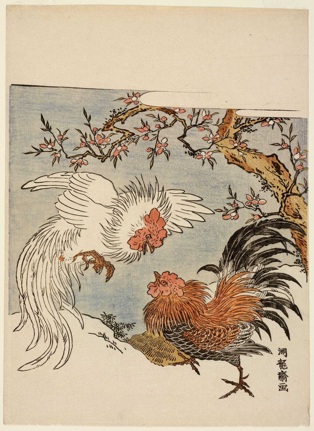 Two roosters, one white and one brown, clashing with each other in the snow beneath an arching peach blossom branch, set against a soft blue-gray background.
