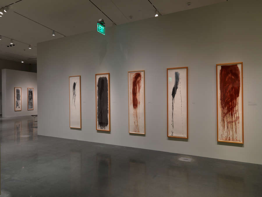 view exhibition image