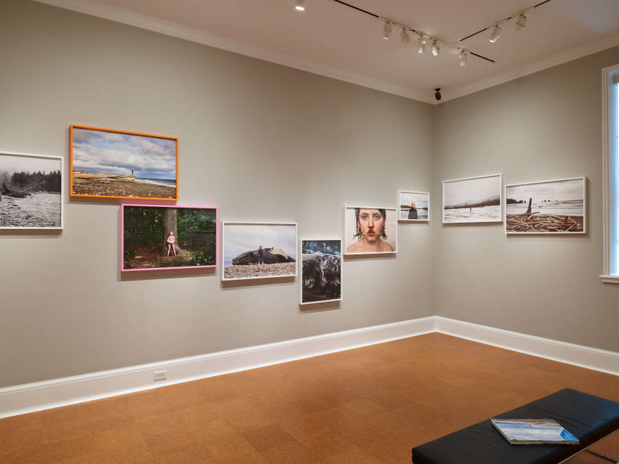 view exhibition image