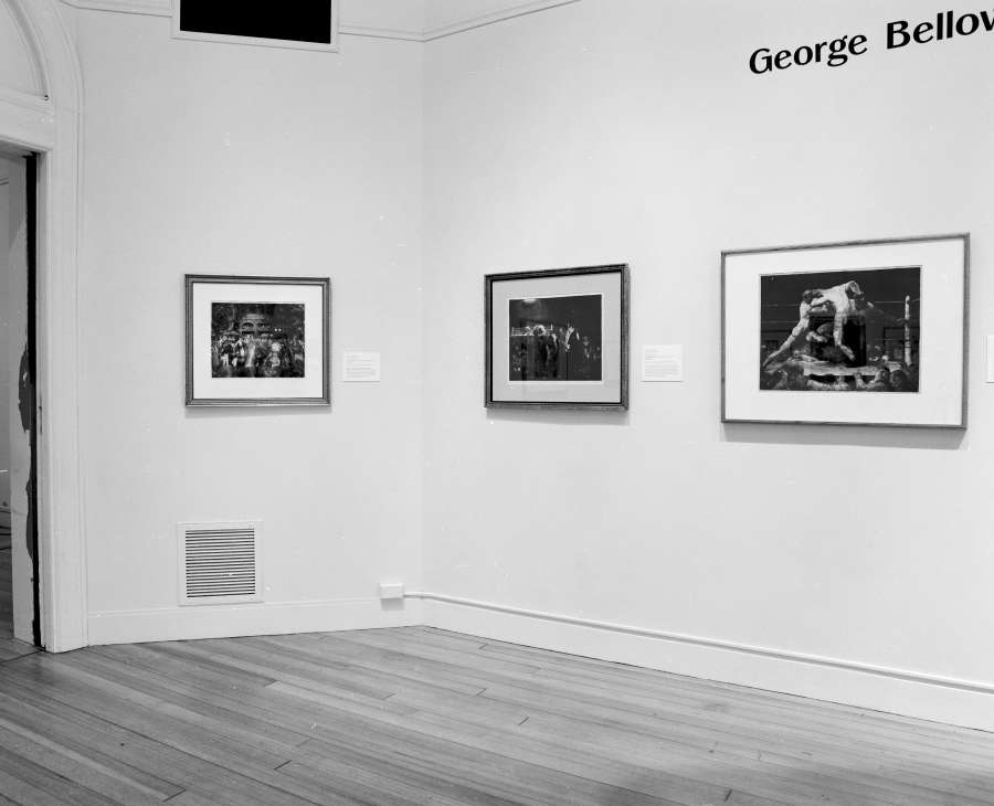 view exhibition image