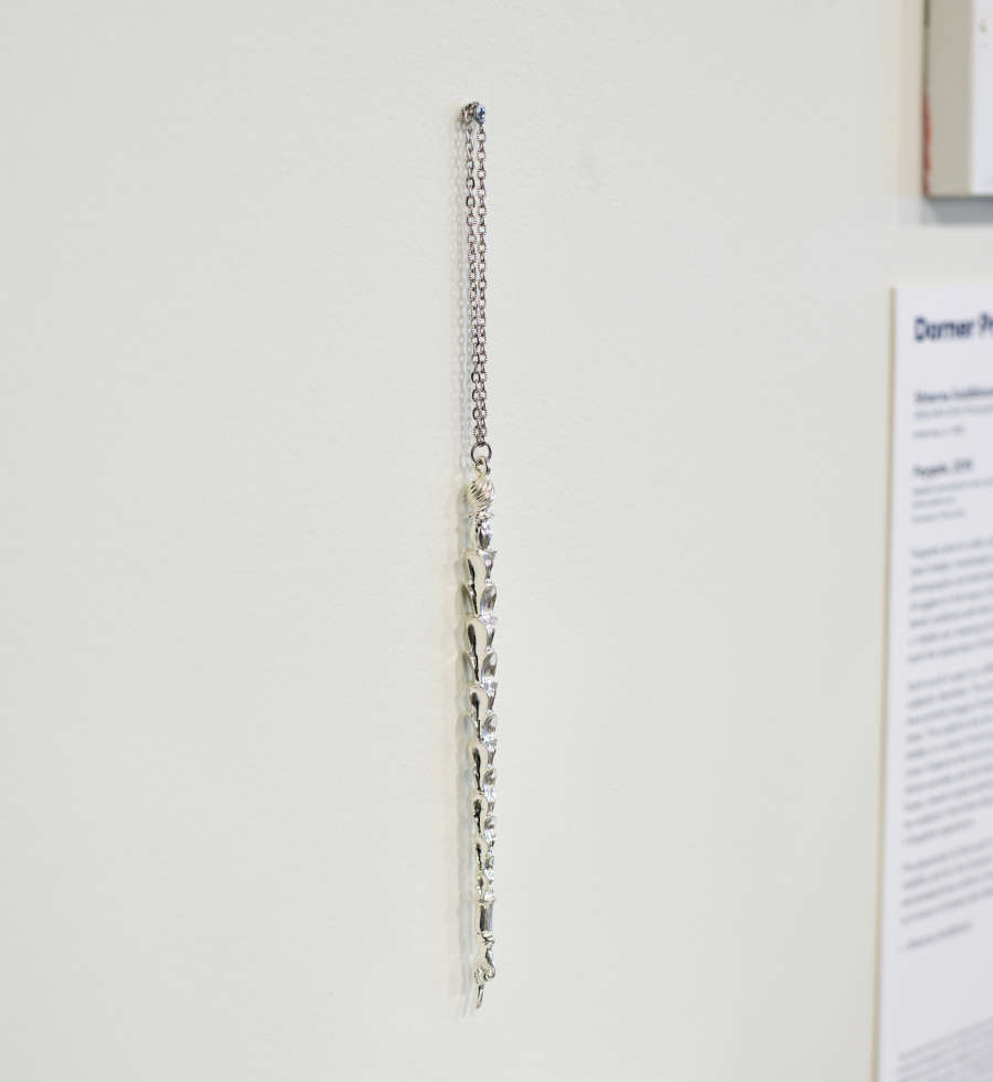 view exhibition image