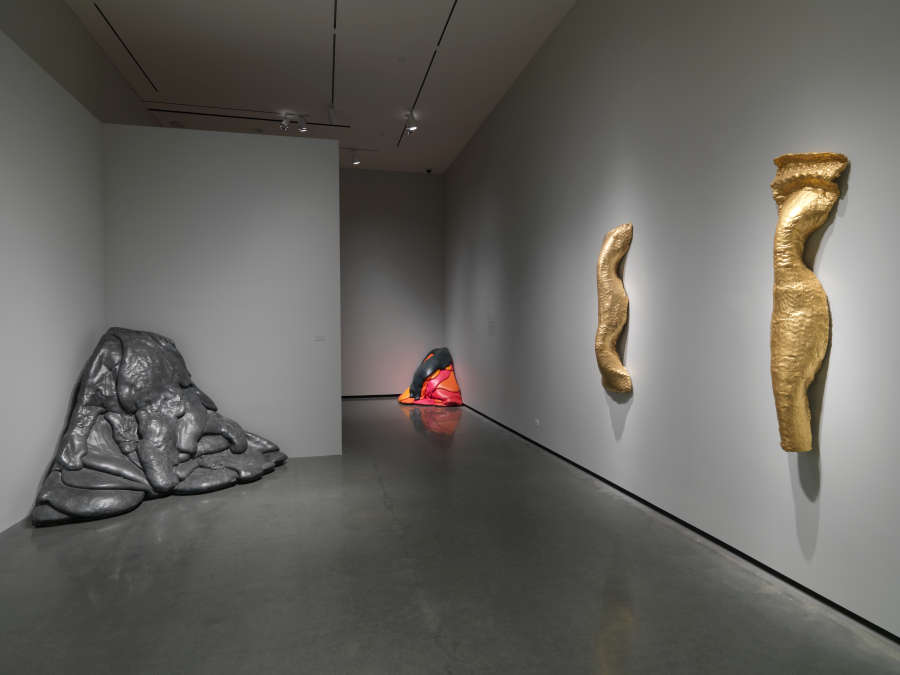 view exhibition image