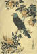 A black bird with a teal head perched on flowering vines with pale orange blossoms and dark green foliage, accented by vertical calligraphy on a pale background. 