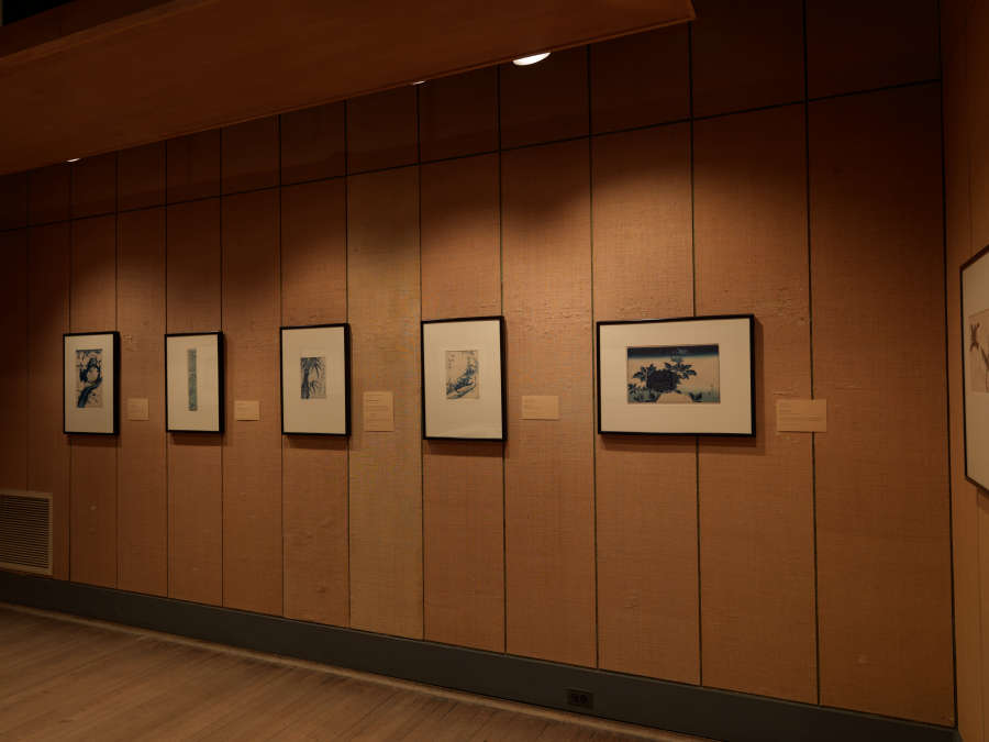 view exhibition image