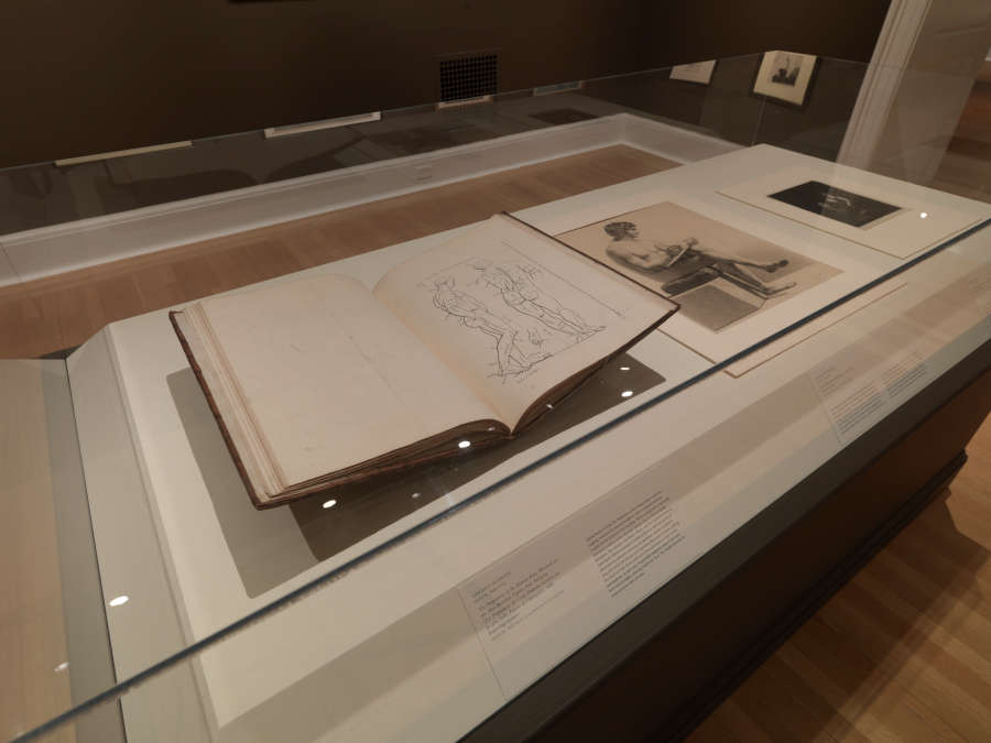 view exhibition image
