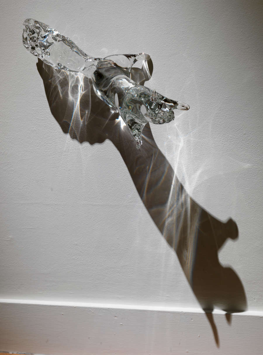 view exhibition image