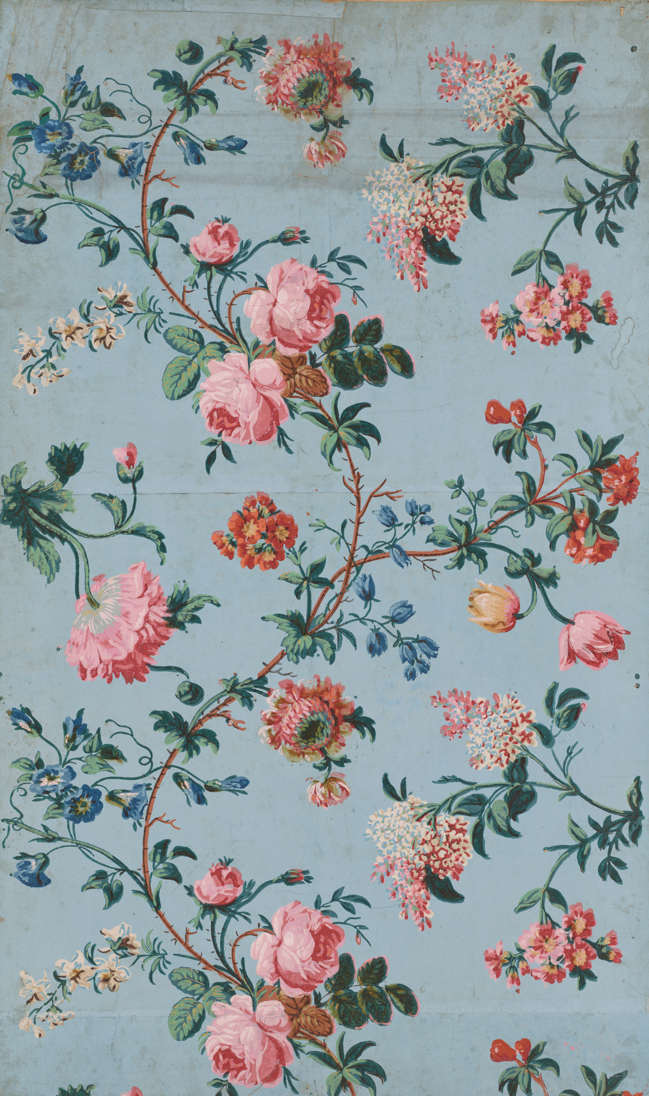 Aged, light blue wallpaper with a central, winding brown flower branch holding red, pink, blue, and cream flowers, of different species, in bloom. Various pink flowers surround the flower branch.