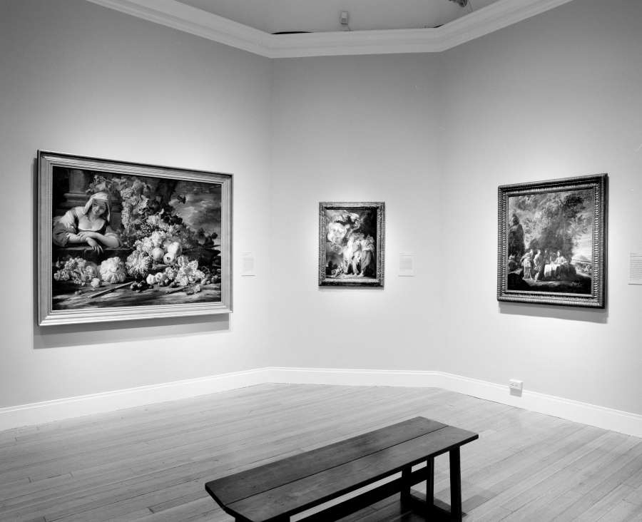 view exhibition image