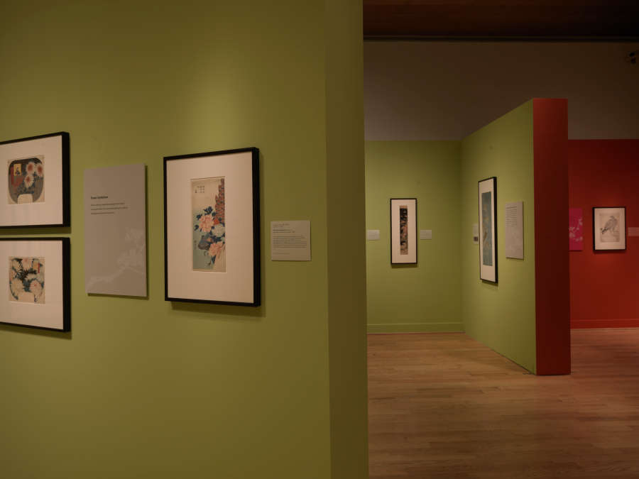 view exhibition image