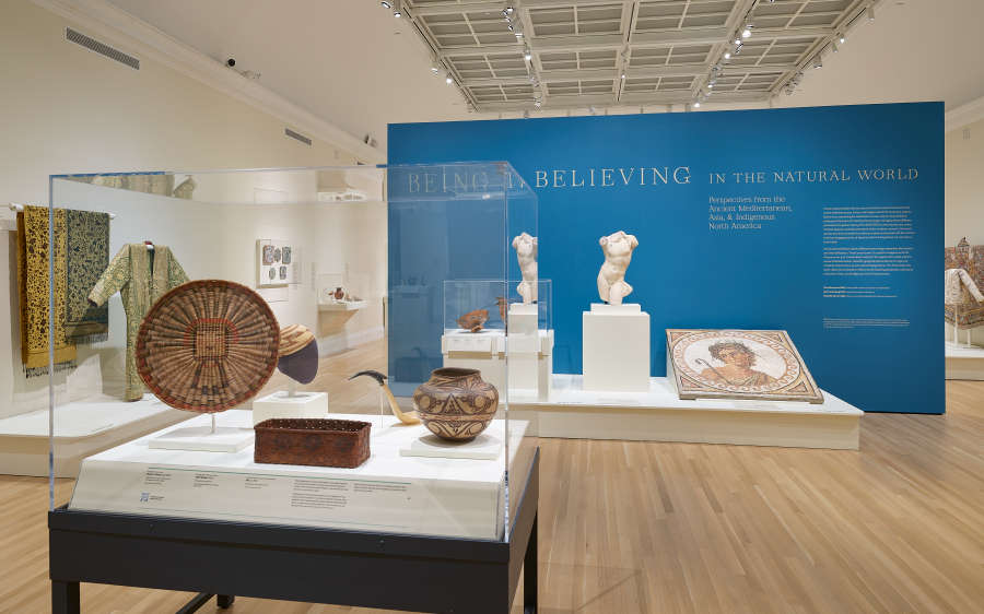 view exhibition image