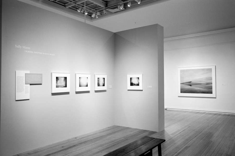 view exhibition image