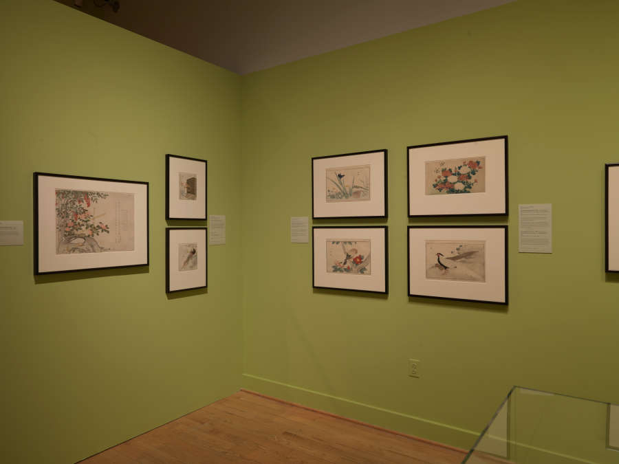 view exhibition image