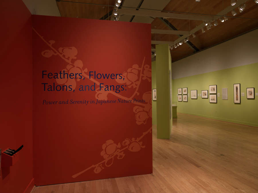 view exhibition image