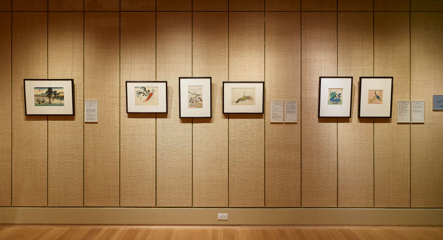 view exhibition image