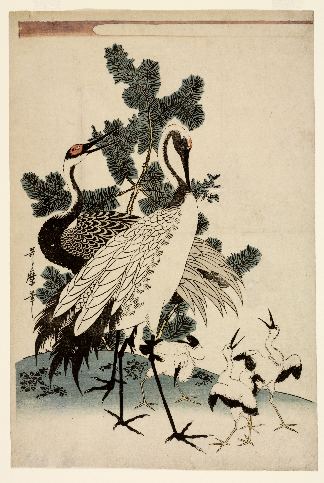 Two adult cranes standing on a grassy mound by a small, young pine tree, accompanied by three chicks clustered at their feet.