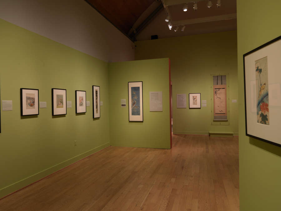 view exhibition image