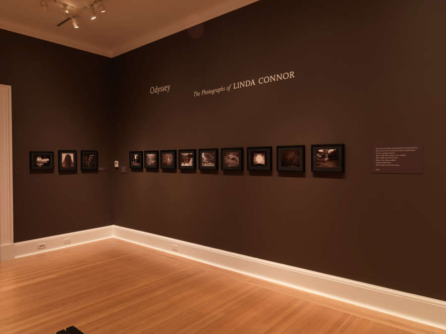 view exhibition image