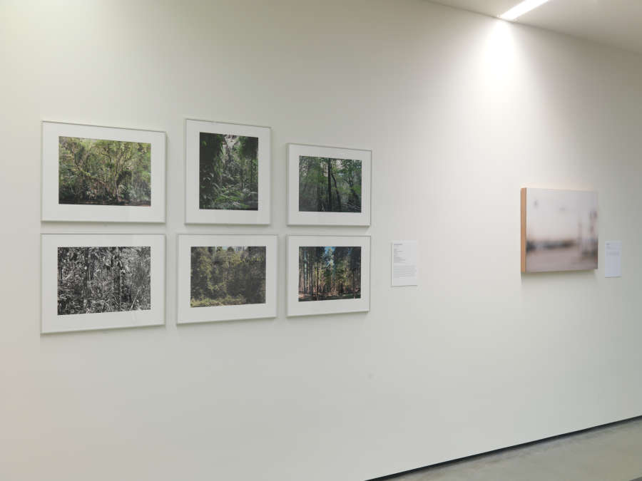 view exhibition image