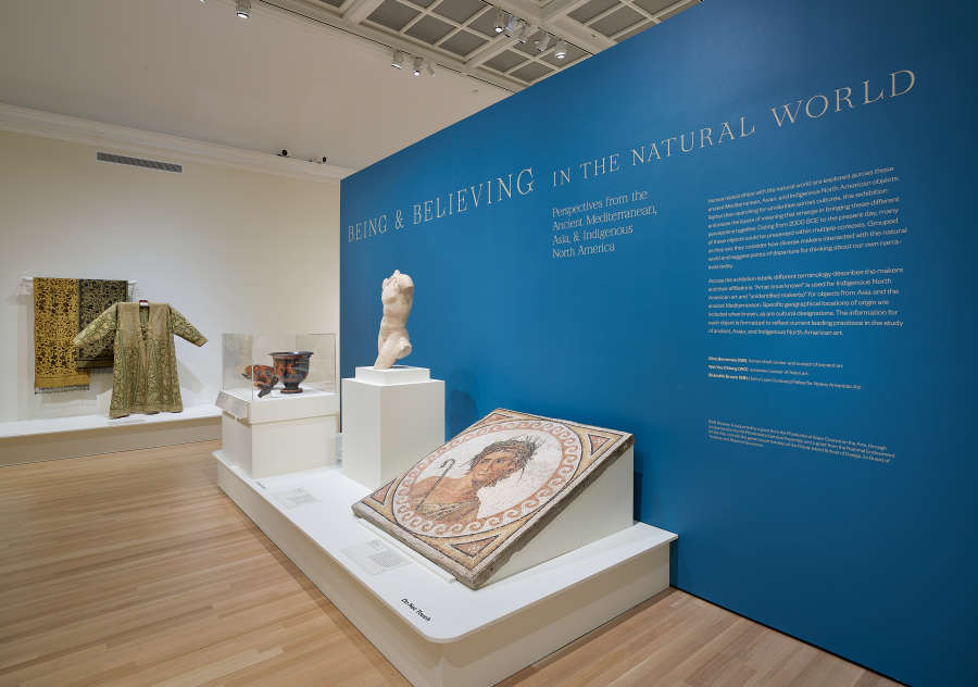 view exhibition image
