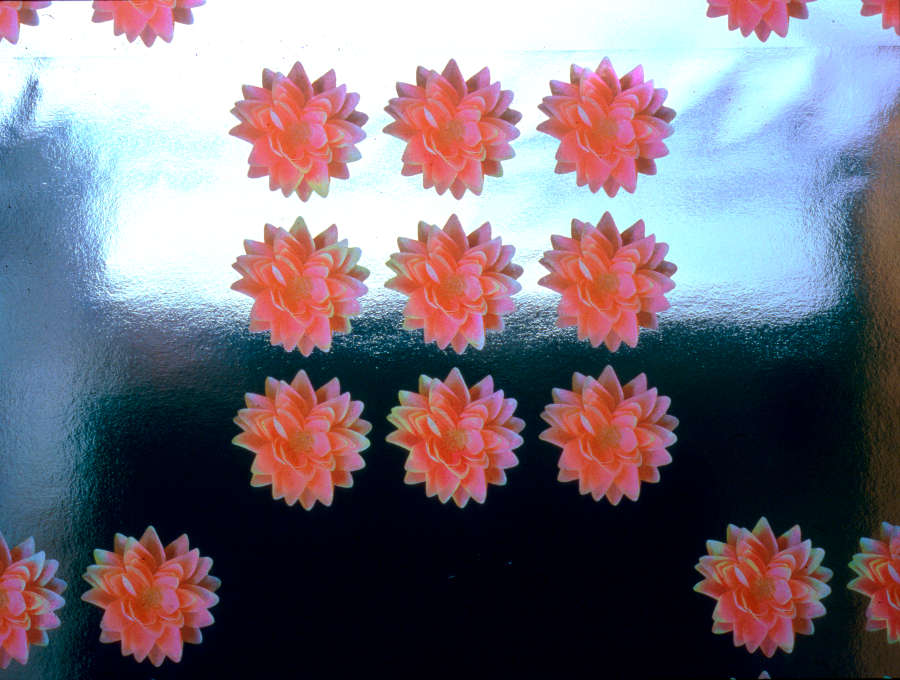 view exhibition image