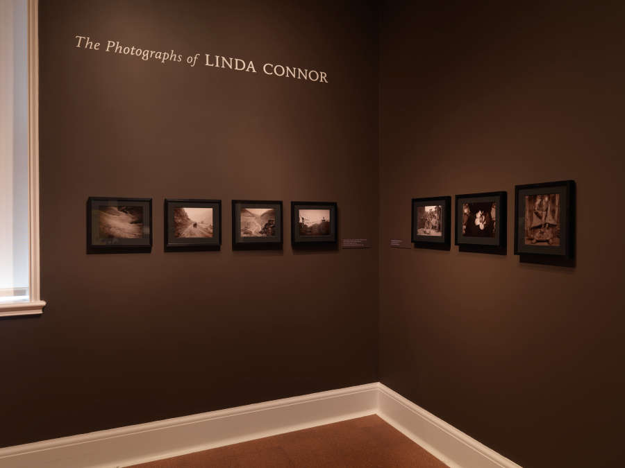 view exhibition image