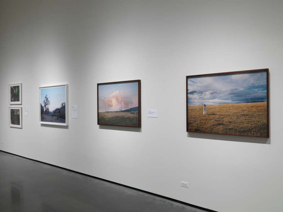 view exhibition image