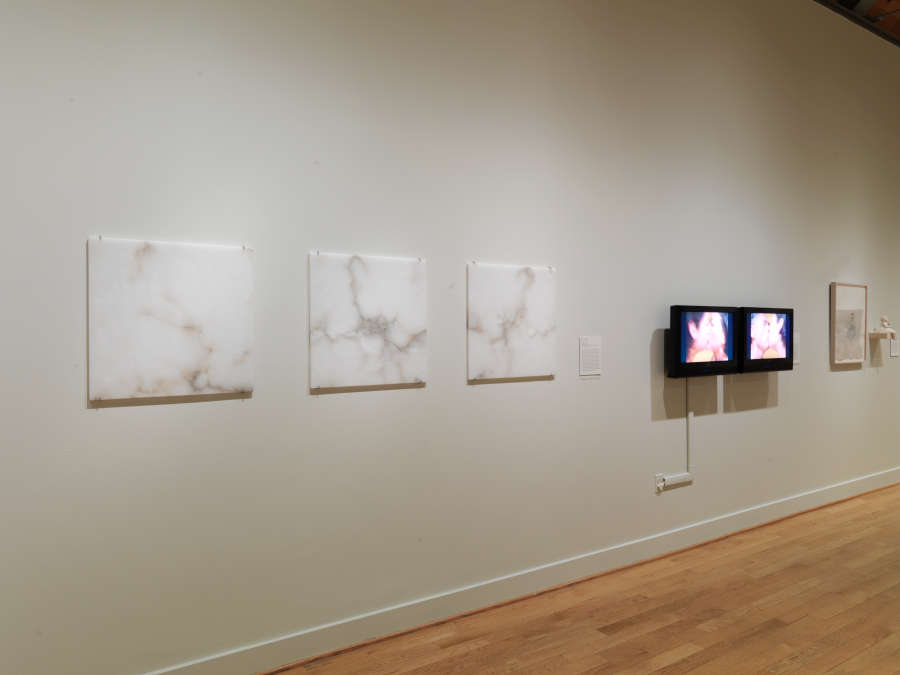 view exhibition image