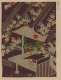 RISDM 1989-063-5 v_117.tif