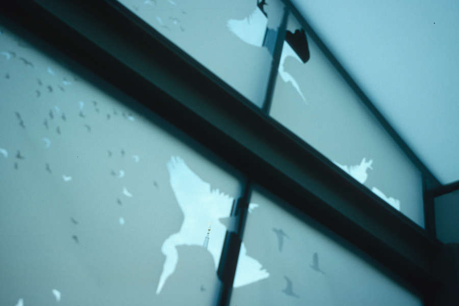 view exhibition image