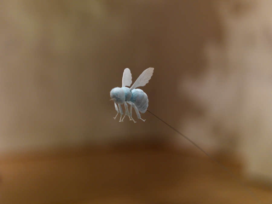 view exhibition image