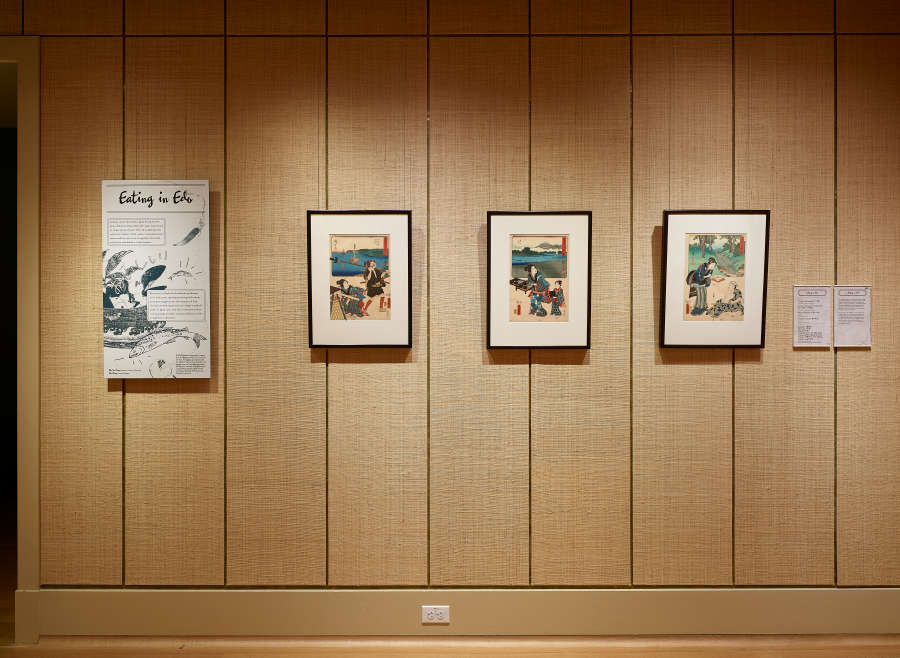 view exhibition image