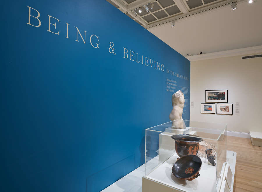 view exhibition image
