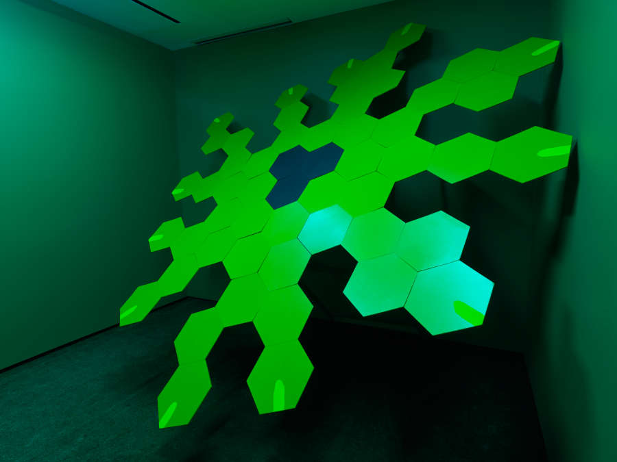 view exhibition image