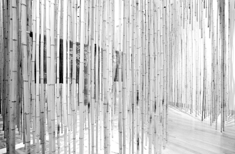 view exhibition image