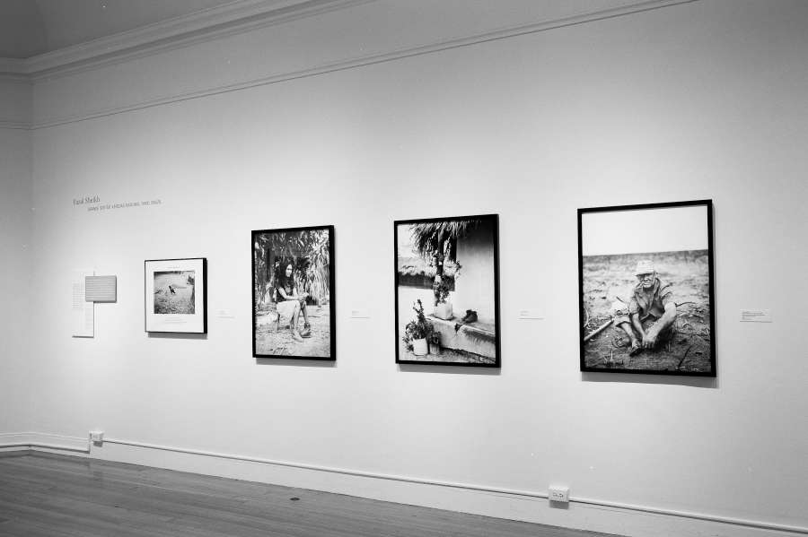 view exhibition image