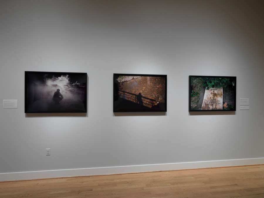 view exhibition image