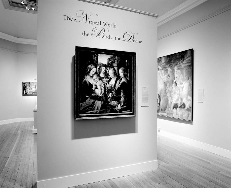 view exhibition image
